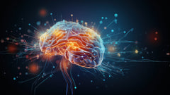 Can We Change Our Brains? All About Neuroplasticity