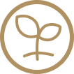 Claim Icon