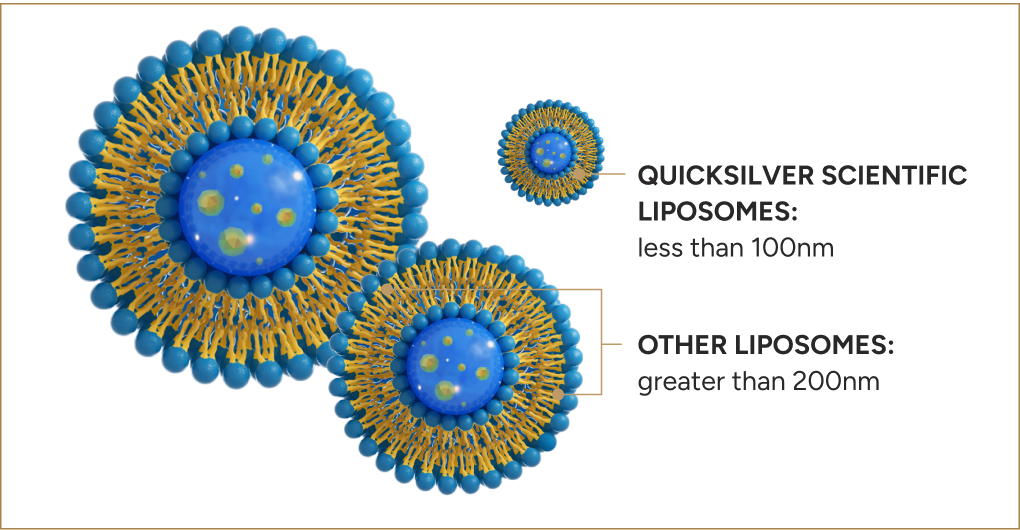 Liposomes-img