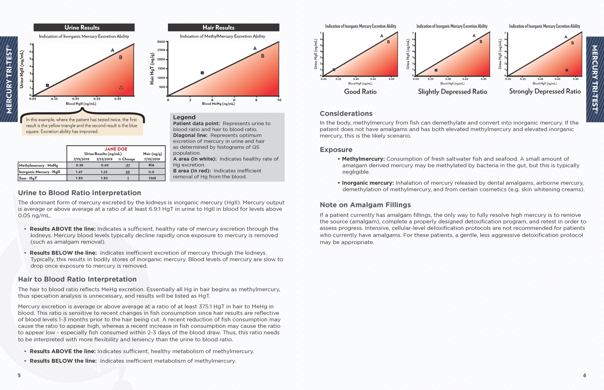 Testing booklet urine to blood ratio page 4