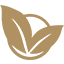 Claim Icon